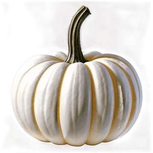 Realistic White Pumpkin PNG 22 PNG
