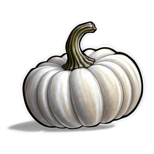Realistic White Pumpkin PNG ewt PNG