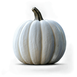 Realistic White Pumpkin PNG mfs53 PNG