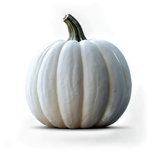 Realistic White Pumpkin Png Mfs53 PNG Image