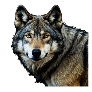 Realistic Wolf Face Drawing Png Mmj62 PNG Image