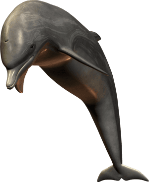 Realistic3 D Dolphin Model PNG image with transparent background