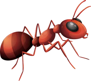 Red Ant Illustration PNG Image