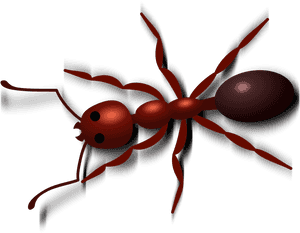 Ant Png - Transparent Background Ant Clipart, Png Download PNG image with transparent background