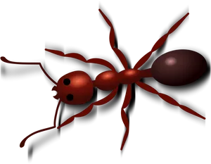 Red Ant Illustration PNG Image