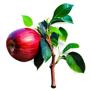 Red Apple Png Jam25 PNG Image