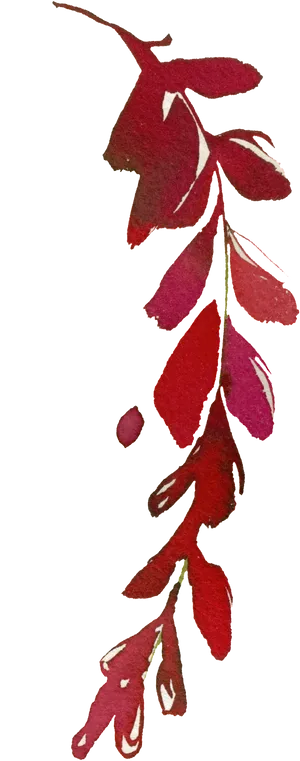 Red Autumn Leaves Illustration PNG Image