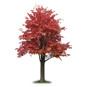 Red Autumn Tree Png Agk PNG Image