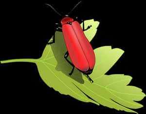 Red Beetleon Green Leaf PNG image with transparent background