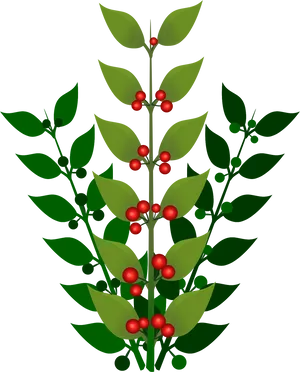 Red Berries Green Leaves Illustration PNG Image