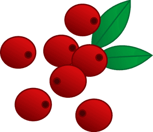 Transparent Voting Clipart - Transparent Background Blueberry Clipart, HD Png Download PNG image with transparent background