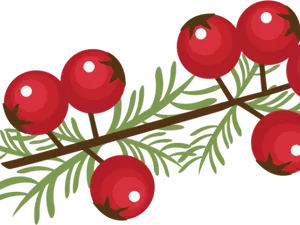 Red Berries Illustration PNG Image