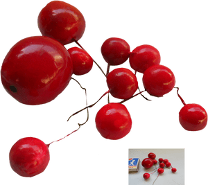 Red Berries Png , Png Download - Red Berries Png, Transparent Png PNG image with transparent background