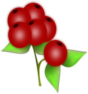 Red Berry Clipart, HD Png Download PNG image with transparent background