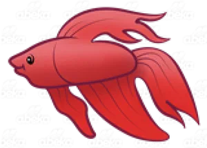 Red Betta Fish Illustration PNG Image