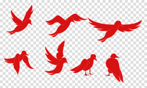 Bird Animation Clipart Tweety Bird Animated Film - Animated And Transparent Images Of Birds PNG image with transparent background