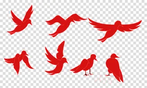 Red Bird Silhouettes Transparent Background PNG Image