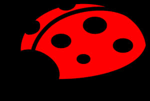 Red Black Ladybug Graphic PNG image with transparent background