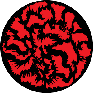 Circle, HD Png Download PNG image with transparent background