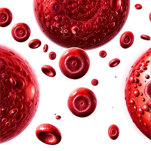 Red Blood Cells Count Png 27 PNG Image