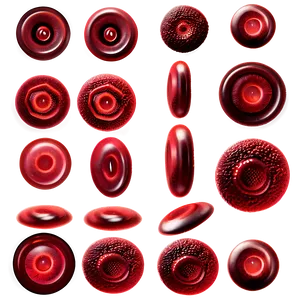 Red Blood Cells Texture Png 85 PNG Image