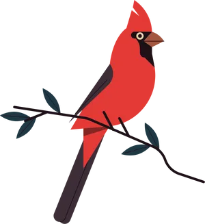 Red Cardinal Bird Illustration PNG Image