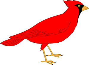 Northern Cardinal St - Clip Art Cardinal, HD Png Download PNG image with transparent background