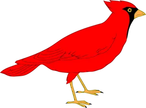 Red Cardinal Bird Illustration PNG Image