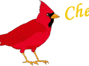 Transparent Cardinal Clipart - Northern Cardinal, HD Png Download PNG image with transparent background