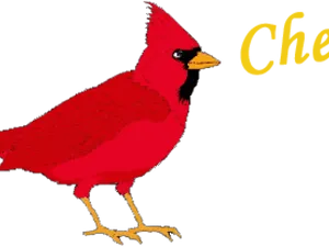 Red Cardinal Bird Illustration PNG Image