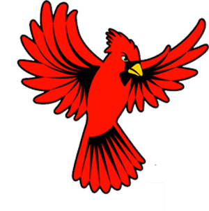 Cardinal Wings Open Clipart - Cardinal Bird Open Wings, HD Png Download PNG image with transparent background
