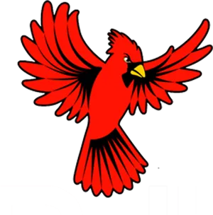 Red Cardinal Bird Illustration PNG Image