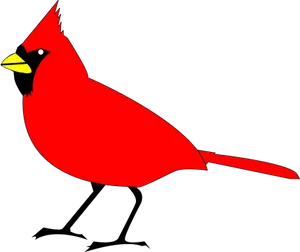 Red Cardinal Bird Vector PNG Image