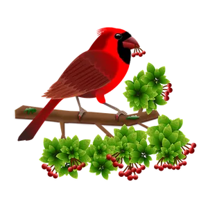 Red Cardinal Birdon Branch PNG Image