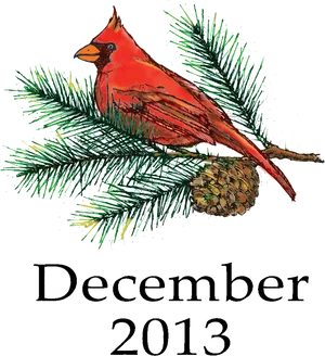 Red Cardinal December2013 PNG Image