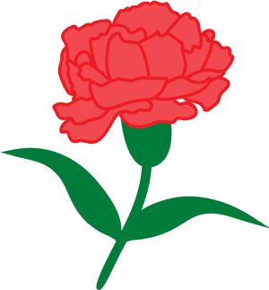 Sos Carnation 2017-01 - Phi Alpha Delta Red Carnation, HD Png Download PNG image with transparent background