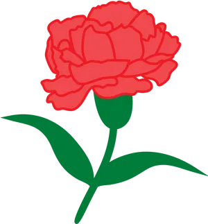 Red Carnation Vector Illustration PNG Image