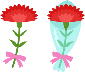 Carnation Free Vector Picaboo, HD Png Download PNG image with transparent background