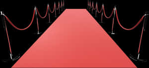 Download Red Carpet - Red Carpet Event Png, Transparent Png PNG image with transparent background