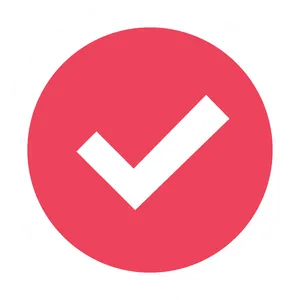 Red Checkmark Icon PNG Image