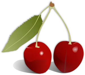 Red Cherrieswith Leaf Vector PNG Image