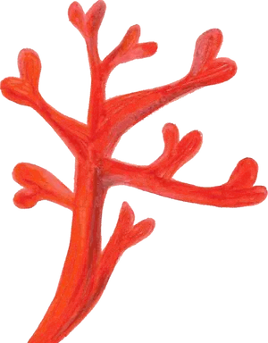 Red Coral Branch Isolated PNG Image