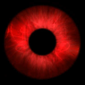 Clipart Library Eyeball Clipart Bloodshot Eye - Circle PNG