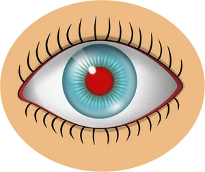 Red Eye Condition Illustration PNG Image