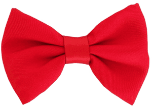 Transparent Background Red Bowtie Png, Png Download PNG image with transparent background
