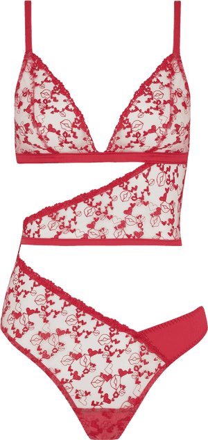 Png Lingerie, Transparent Png PNG with transparent background