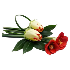 Red Flowers Bouquet Gift Png 38 PNG Image