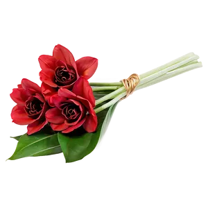 Red Flowers Bouquet Gift Png Ngq72 PNG Image