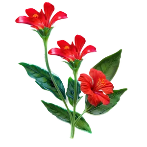 Red Flowers Sunset Png 11 PNG Image