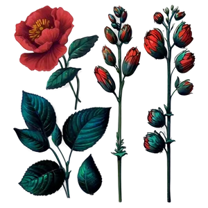 Red Flowers Vintage Png Wgn19 PNG Image